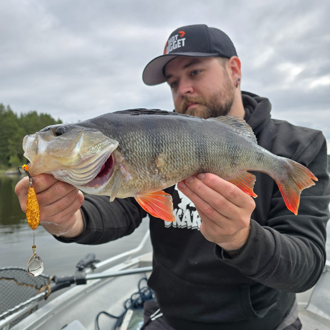 Norolans beste sluker til abbor 5-pack