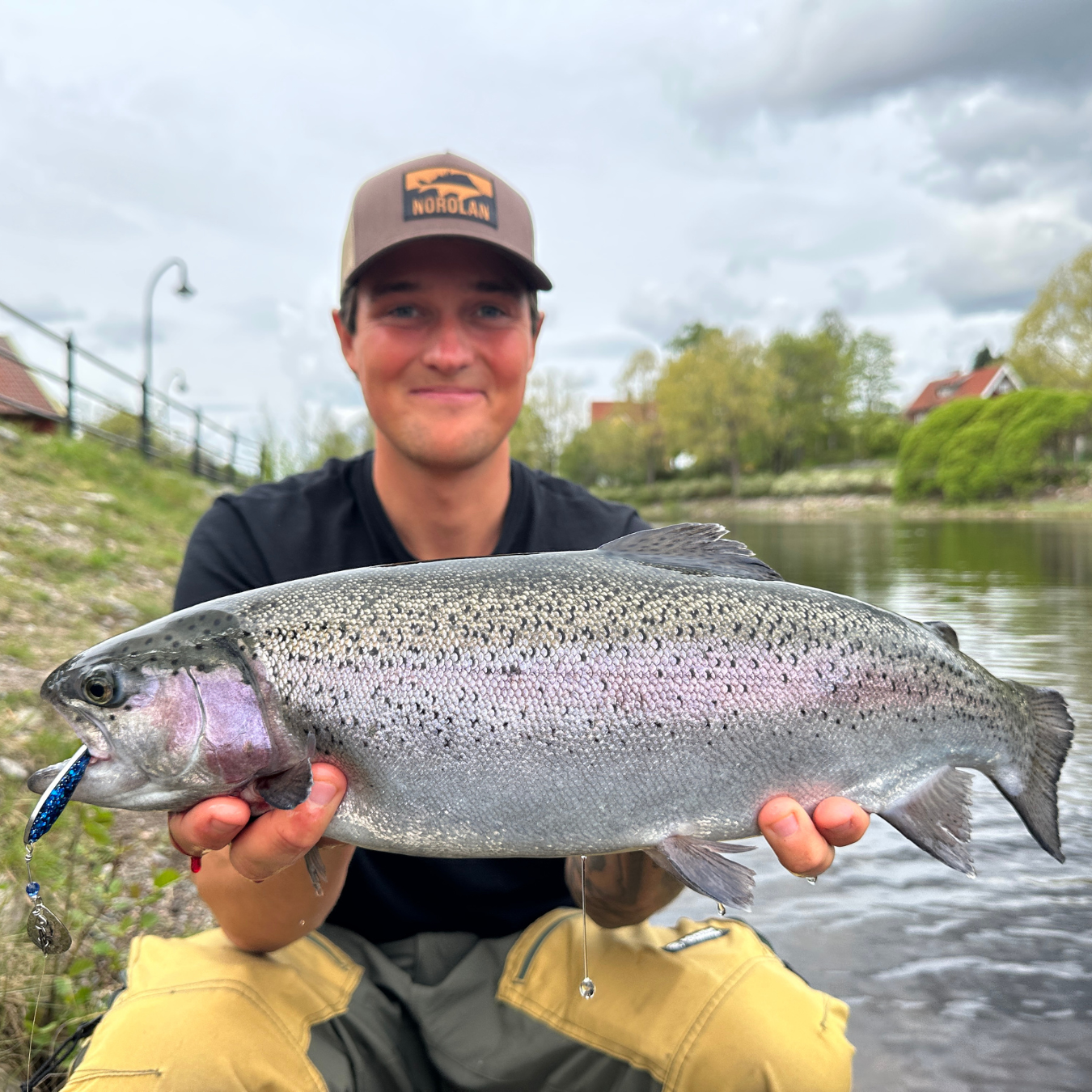 Norolans beste regnbueørretsluker 5-pack