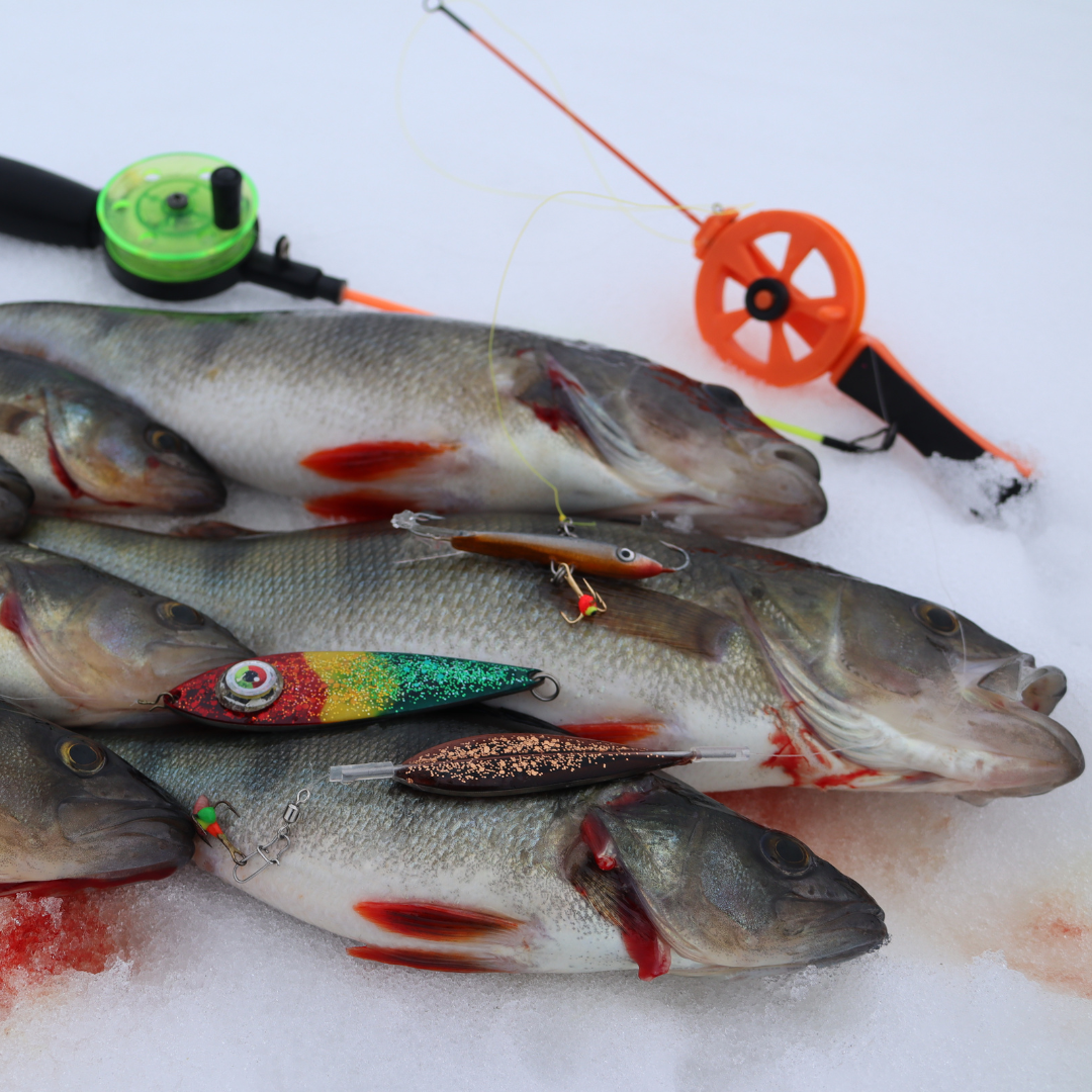 Norolans beste abborpirk-sett – 5-pack