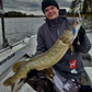 Norolans beste weedless-sluker 5-pack