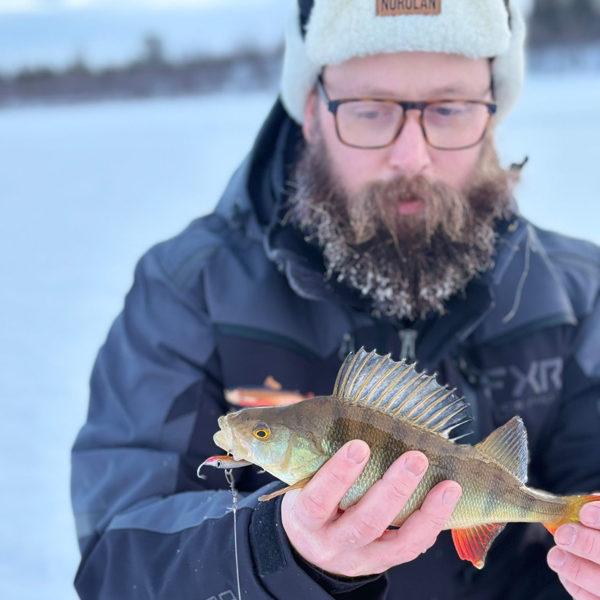 Norolan Balance Banger: balansepirk