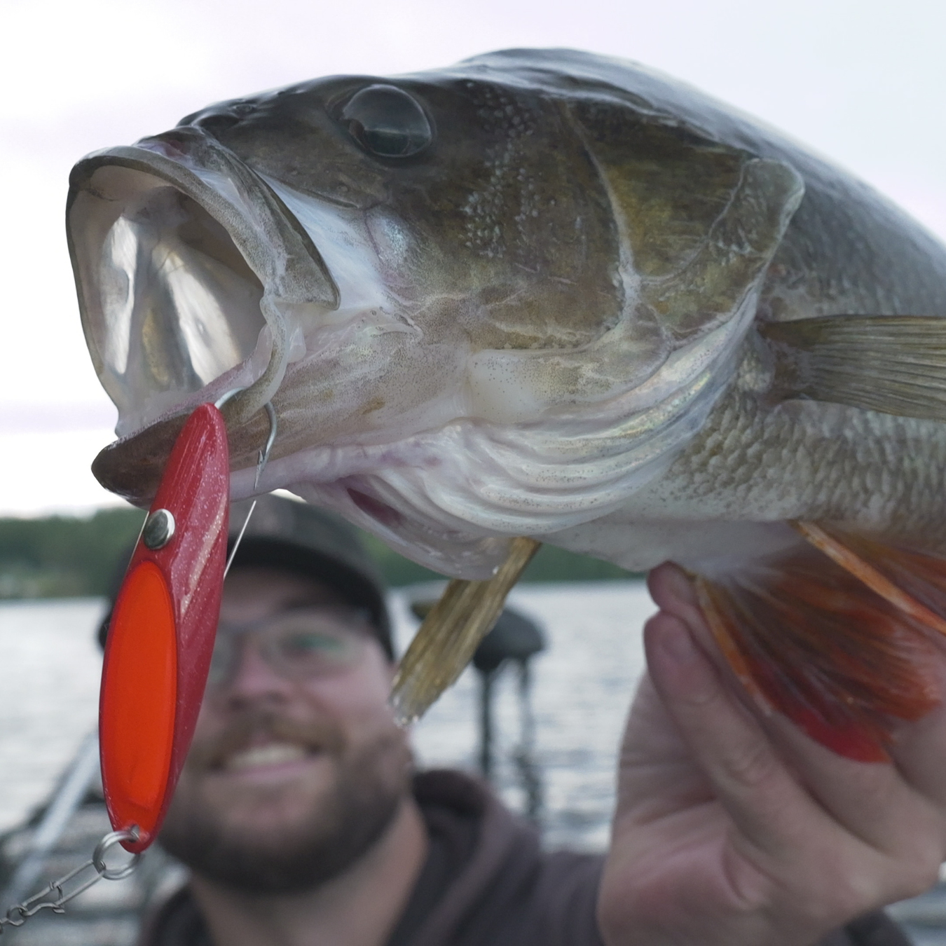 Norolans beste weedless-sluker 5-pack