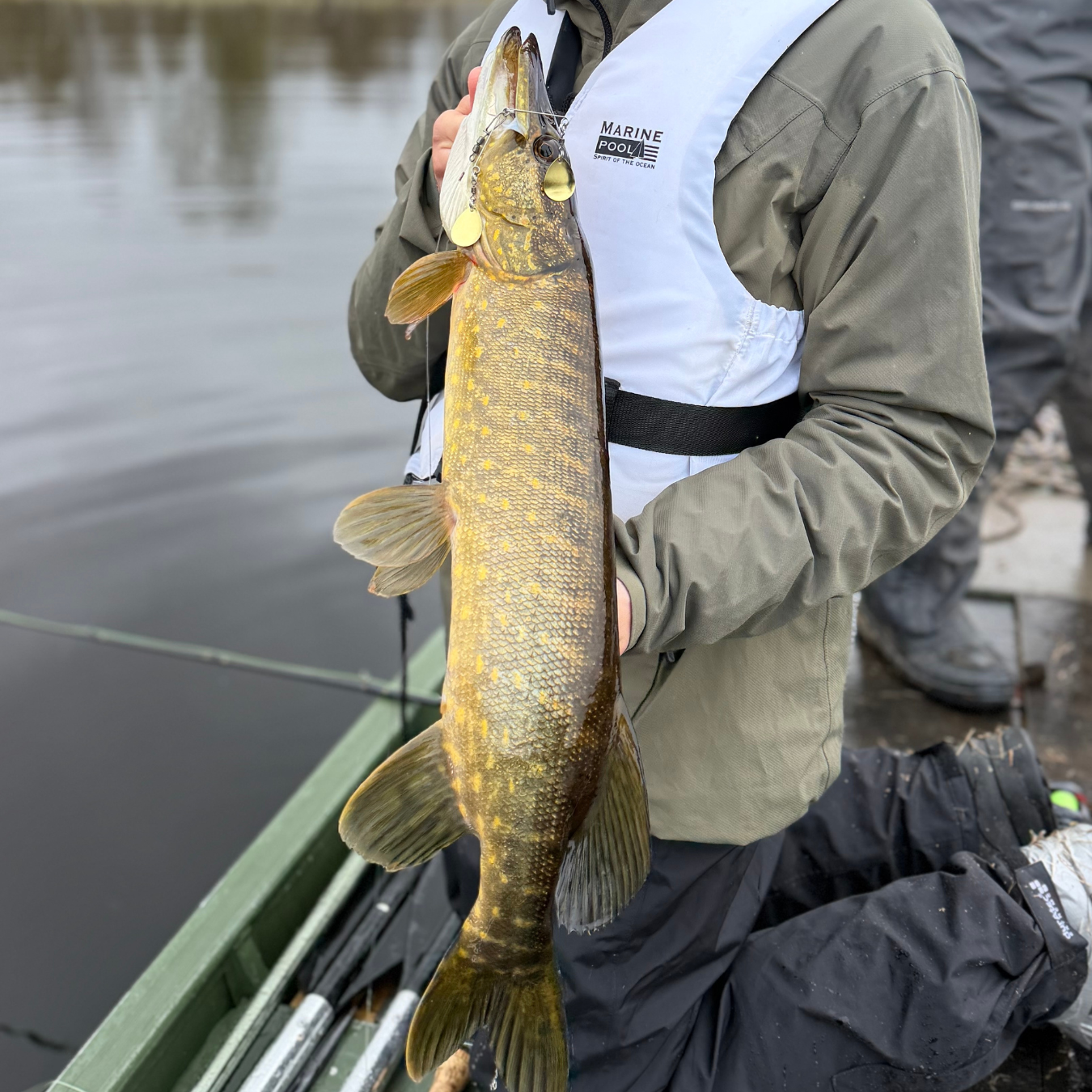 Norolan bestselger 5-pakke