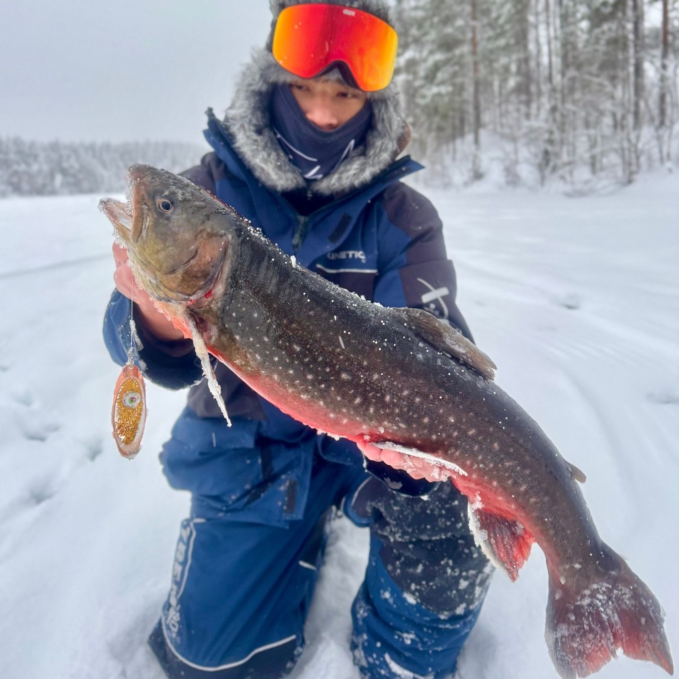 Norolan Arctic Light Original LED 8 cm: røyeblink med utskiftbart LED-lys