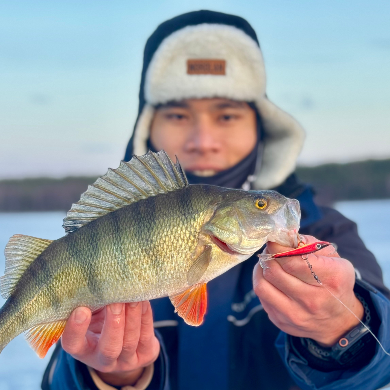 Norolan Balance Banger: balansepirk